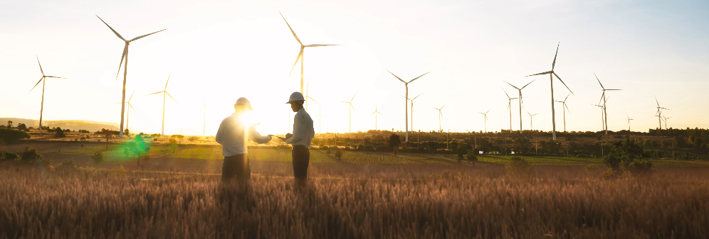 Two people wearing hardhats stand talking together among high grass in a field, surrounded by wind turbines, silhouetted against a bright sunset sky.
